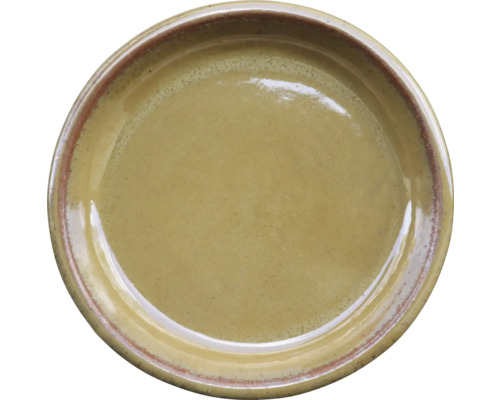 Keramisk tallrik för matbordet