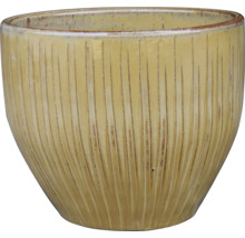 Gul blomkruka med vertikalt räfflat mönster