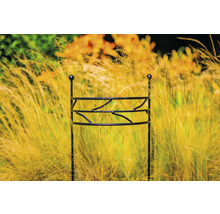 Växtstöd av metall i trädgårdsrabatt