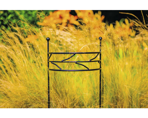 Växtstöd av metall i trädgårdsrabatt