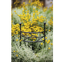 Växtstöd av metall i blomrabatt