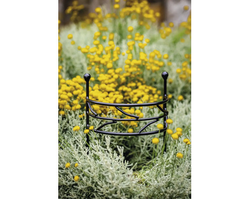 Växtstöd av metall i blomrabatt