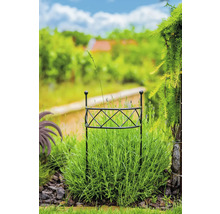 Trädgård med växtstöd i rabatten