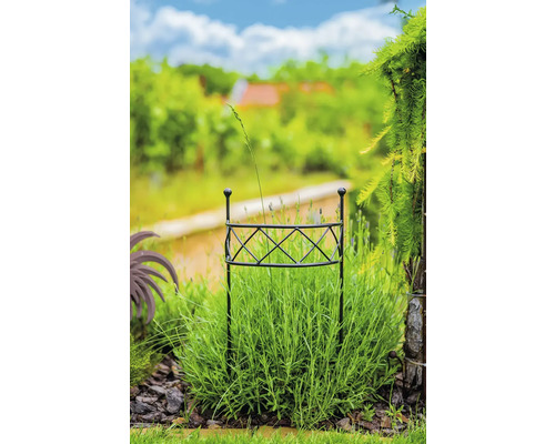 Trädgård med växtstöd i rabatten