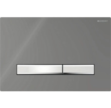 Geberit spolplatta för toalettspolning