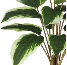 Konstgjord växt med grönvita blad