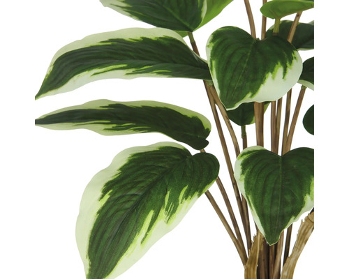 Konstgjord växt med grönvita blad