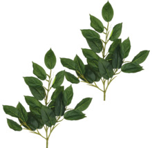 Två grenar med blad