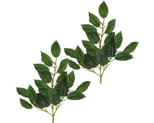 Två grenar med blad