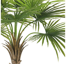 Närbild av en konstgjord solfjäderspalm med gröna blad