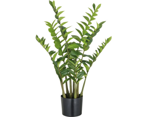 Konstväxt zamifolia grön i kruka 90 cm Zamioculcas Zamiifolia krukväxt i kruka