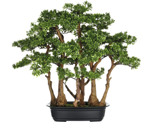 Konstväxt bonsai teblad i kruka 60x60 cm Konstgjord bonsai i svart kruka