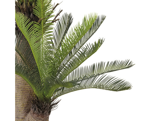 Närbild av en konstgjord cycas med gröna blad.