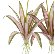 Konstgjord vattenväxt med blad