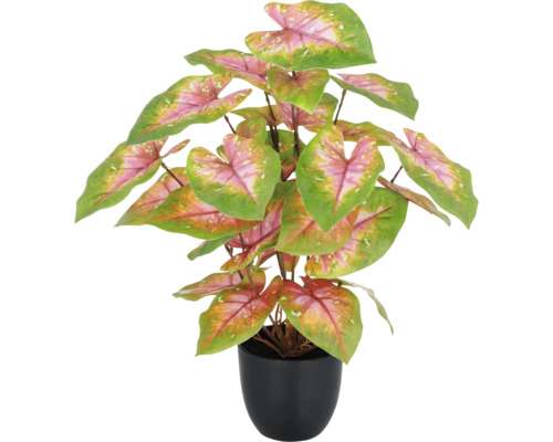 Konstväxt caladium växt i kruka 40 cm Konstgjord Caladium växt i kruka