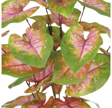 Konstgjord Caladium växt med blad
