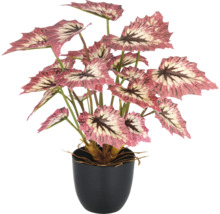 Konstgjord begonia i kruka som dekoration