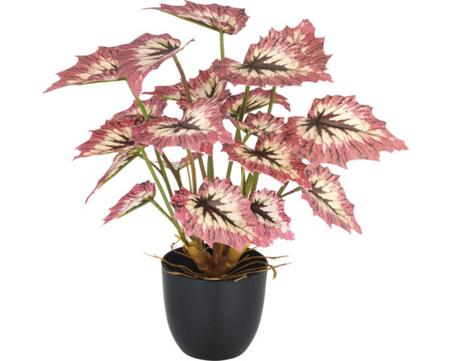 Konstgjord begonia i kruka som dekoration