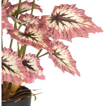 Konstgjord begonia i kruka för dekoration