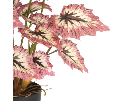 Konstgjord begonia i kruka för dekoration