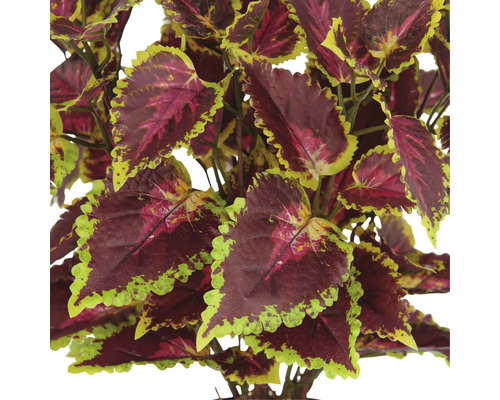 Konstgjord palettblad med dekorativa blad