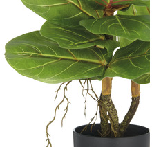 Konstgjord fiolfikus i kruka