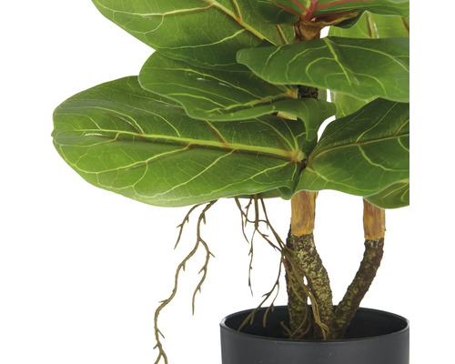 Konstgjord fiolfikus i kruka