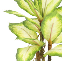 Konstgjord Dieffenbachia med grönvita blad.