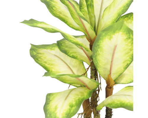 Konstgjord Dieffenbachia med grönvita blad.
