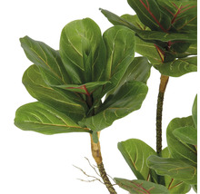 Konstgjord fiolfikus med gröna blad och brun stam