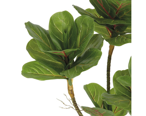 Konstgjord fiolfikus med gröna blad och brun stam