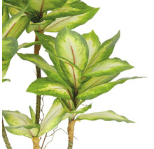 Konstgjord Dieffenbachia med gröna blad som dekoration