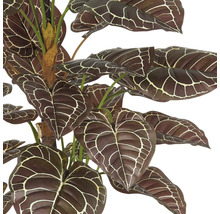 Konstgjord anthurium med mönstrade blad