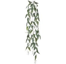 Eukalyptusgirlang med blad och blomställningar