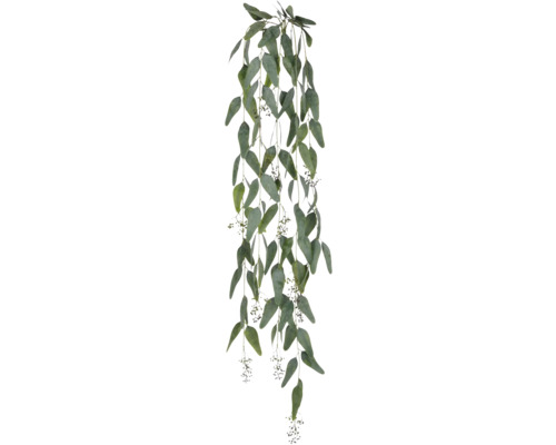 Eukalyptusgirlang med blad och blomställningar