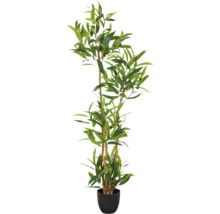 Konstgjord bambu i kruka