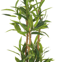 Konstgjord eukalyptusträd med gröna blad och bruna stammar