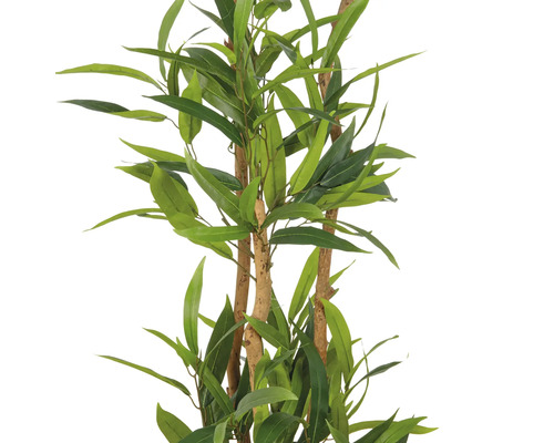 Konstgjord eukalyptusträd med gröna blad och bruna stammar