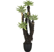 Konstgjord suckulent i kruka som en krukväxt