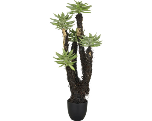 Konstväxt dudleya i kruka 80 cm Konstgjord suckulent i kruka som en krukväxt