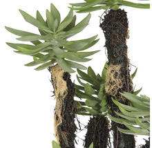 Konstgjord suckulent med detaljerade blad och ett naturtroget utseende