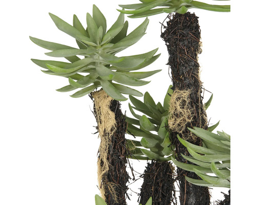 Konstgjord suckulent med detaljerade blad och ett naturtroget utseende