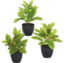 Tre konstgjorda växter i svarta krukor