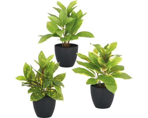 Konstväxt grönväxtmix i kruka 24 cm 3-pack Tre konstgjorda växter i svarta krukor