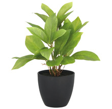 Konstgjord växt i svart kruka