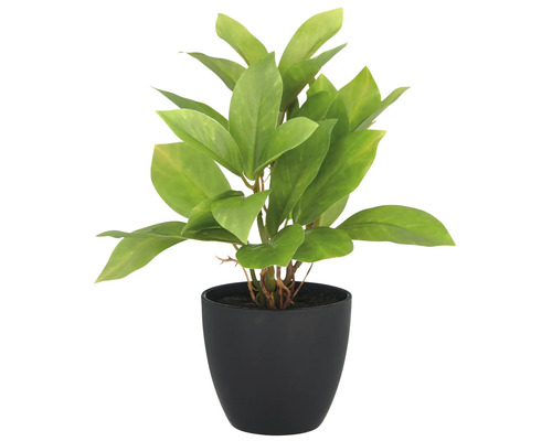 Konstgjord växt i svart kruka