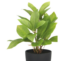 Konstgjord krukväxt i svart kruka