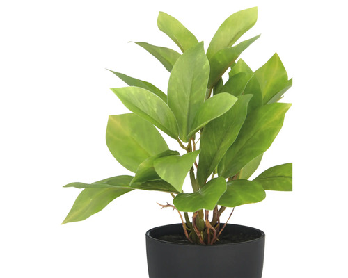 Konstgjord krukväxt i svart kruka