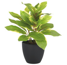 Konstgjord växt med grön-gula blad i en svart kruka