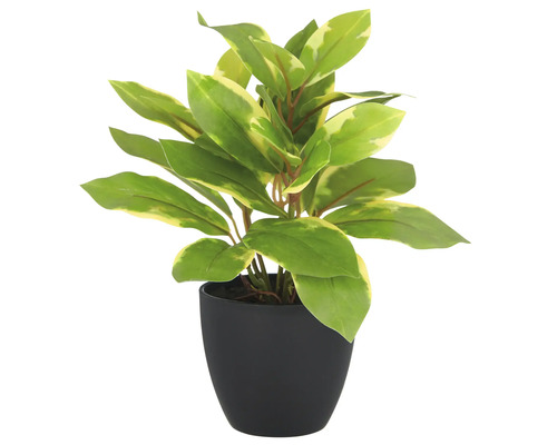 Konstgjord växt med grön-gula blad i en svart kruka
